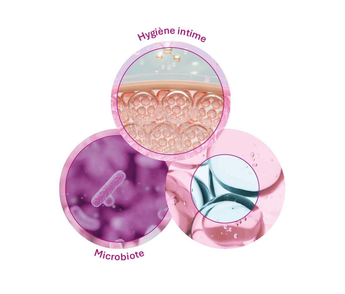 Schéma écosystème de l'intime avec focus sur le microbiote et l'hygiène intime