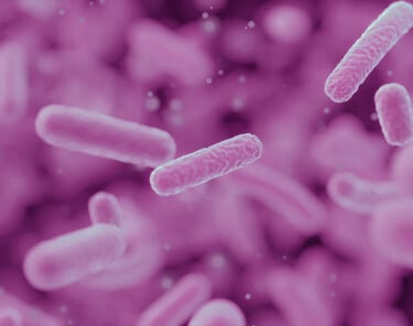 Voici ce que vous devez savoir sur le microbiome vaginal Voici ce que vous devez savoir sur le microbiome vaginal
