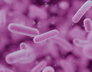 DIT MOET JE WETEN OVER HET VAGINAAL MICROBIOOM DIT MOET JE WETEN OVER HET VAGINAAL MICROBIOOM